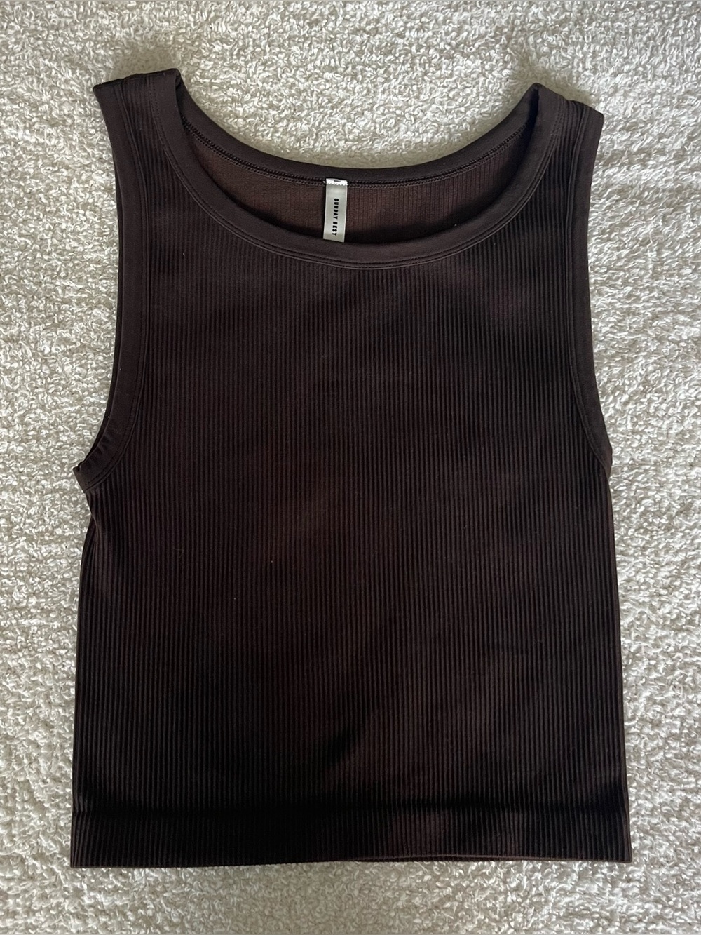 Aritzia: Sunday Best Tank Top